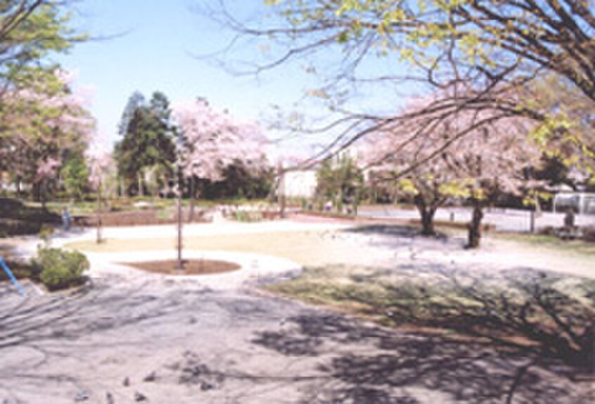 諏訪の森公園(公園)まで450m パールハイツ