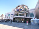 アリオ葛西店(スーパー)まで1000m フローラ８