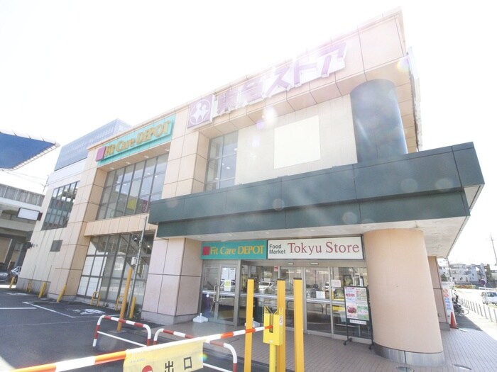 FitCareDEPOT田奈店(ドラッグストア)まで500m サニーヴィラ