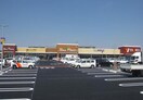 ヤオコー川越的場店(スーパー)まで1200m 仮)川越市的場新築MAISON　2号棟