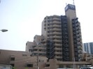 ﾗｲｵﾝｽﾞｽﾃ-ｼｮﾝﾌﾟﾗｻﾞ梅島(316)の外観
