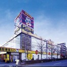 ドン・キホーテ　堀之内店(ディスカウントショップ)まで315m HILLS　FELICE