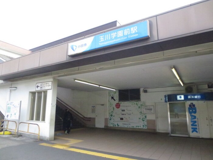 周辺環境 ハイライズ玉川学園