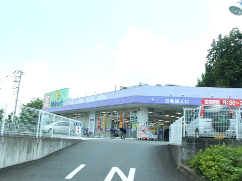 ウェルパーク(ドラッグストア)まで1400m メゾン東中野