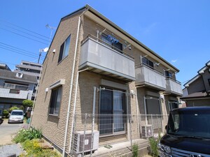 セランＭ