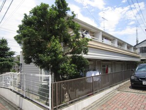 Liberte court