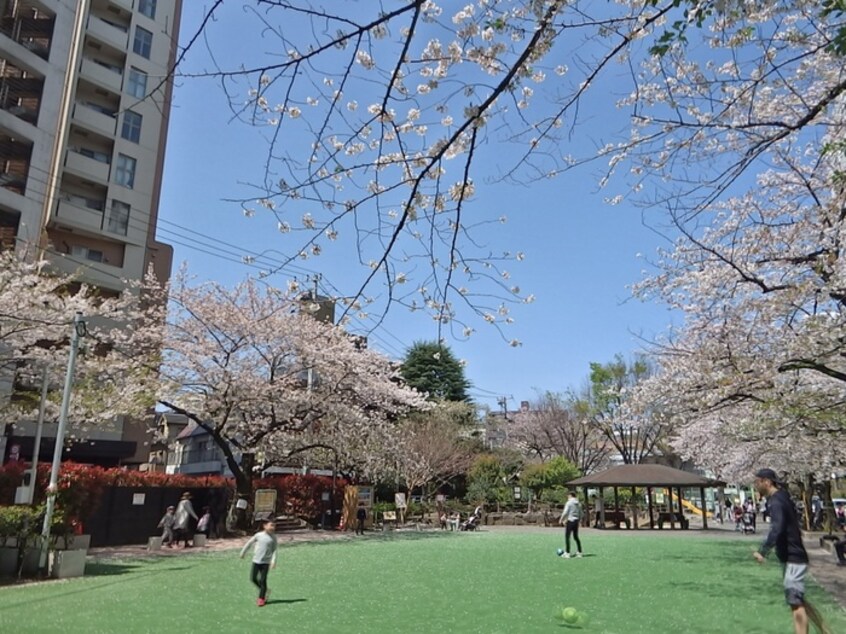 広尾公園(公園)まで220m レジディア広尾Ⅱ