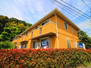 プライムガーデン綱島Ｄ