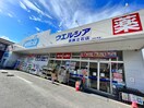 ウェルシア(ドラッグストア)まで290m アルファコート立石２