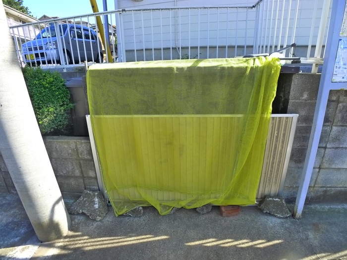 その他 プリムローズ