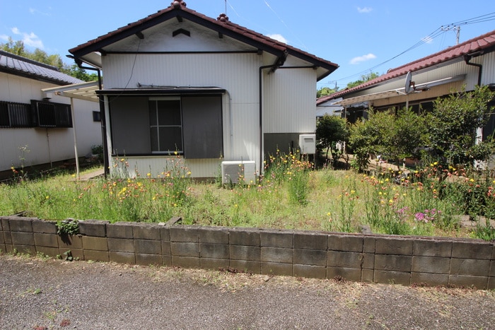 室内からの展望 プリムローズ