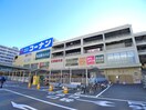 コーナン(電気量販店/ホームセンター)まで741m ﾙﾌｫﾝﾌﾟﾛｸﾞﾚ清澄白河ﾌﾟﾚﾐｱ