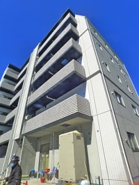 シュガー　レイ