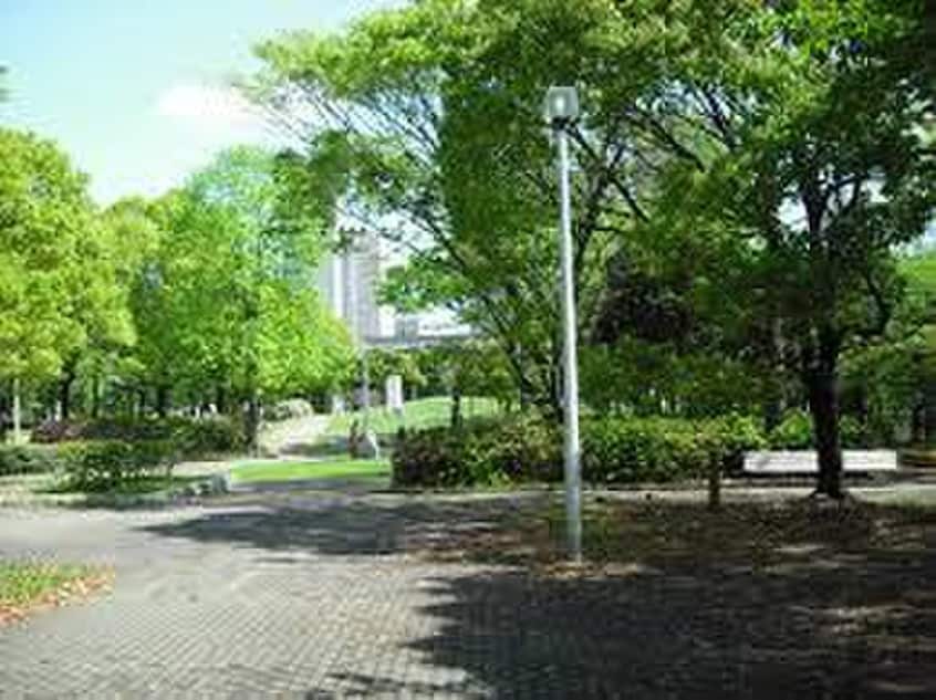 川崎平和公園(公園)まで260m ムサシコーポ