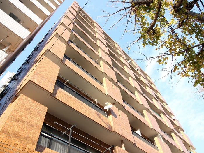 外観写真 ﾗｲｵﾝｽﾞMS横浜大通り公園第2(402)