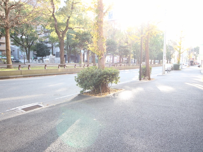 周辺環境 ﾗｲｵﾝｽﾞMS横浜大通り公園第2(402)