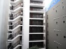 室内からの展望 ﾗｲｵﾝｽﾞMS横浜大通り公園第2(402)