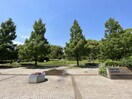 猿江恩賜公園(公園)まで30m S-RESIDENCE錦糸町South