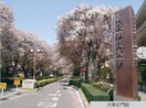 東京学芸大学(大学/短大/専門学校)まで1700m 諸星荘