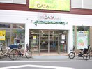 CASA PLUS1　100円ショップ(カフェ)まで412m シャレ－都立大カワベ第５