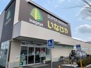 いなげや　小金井東町店(スーパー)まで700m スカイハイツ