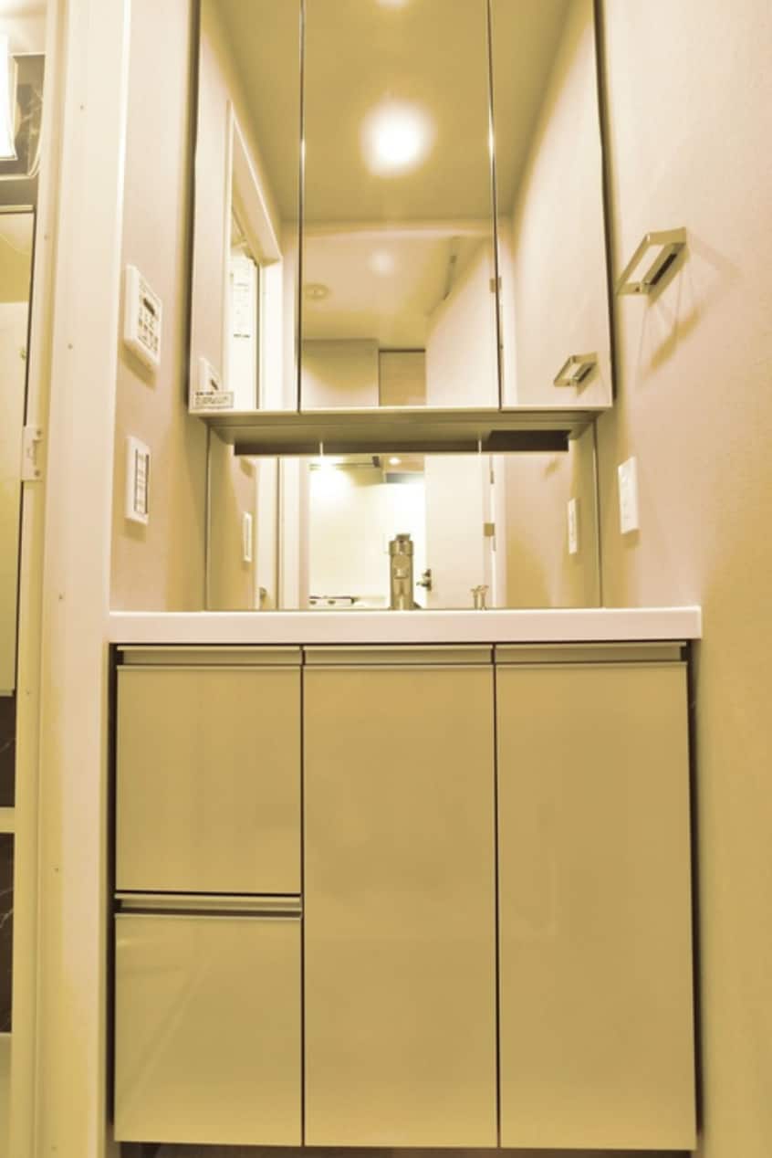 洗面 ルフォンプログレ蔵前プレミア