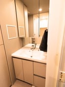 洗面 ルフォンプログレ蔵前プレミア