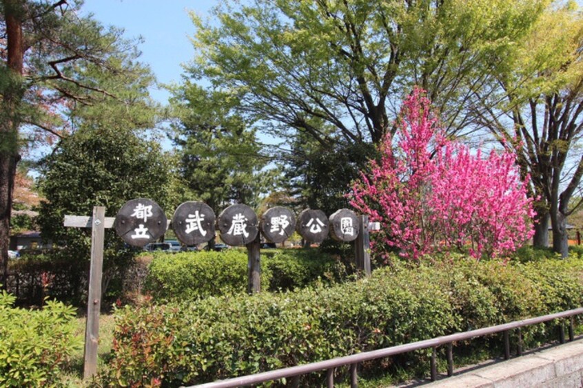 野川公園(公園)まで1100m ウッディーコーポ