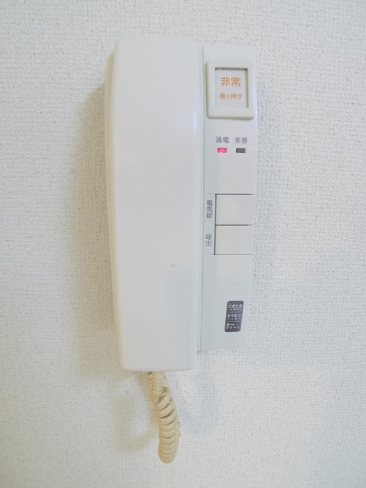 玄関 ブリリアンス西川口(301)