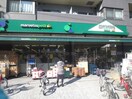 maruetsu(マルエツ) プチ 千石店(スーパー)まで387m ウェルスクエアイズム文京千石