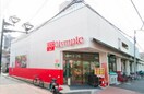 オリンピック中野弥生町(スーパー)まで416m SBFコ－ト渋谷本町