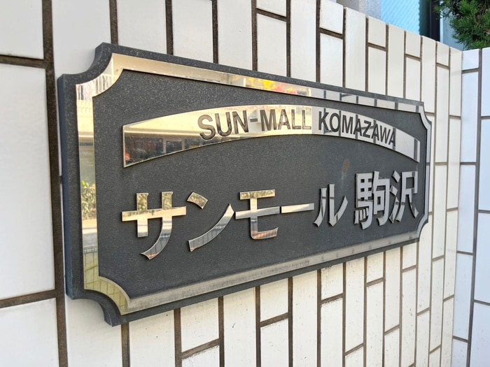 エントランス部分 サンモ－ル駒沢