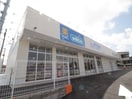 ハックドラッグ 杉田3丁目店(ドラッグストア)まで950m Beach Lagoon杉田
