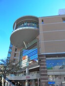 コモディイイダ　聖蹟桜ヶ丘店(スーパー)まで312m ウィスタリア聖蹟