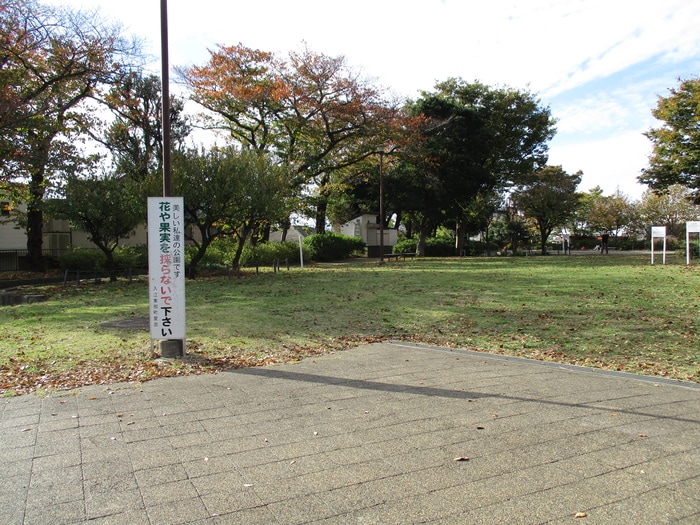 入江町公園(公園)まで363m コ－ポＯＧＡＷＡ（3、4Ｆ）