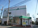 ＪＡ東京中央山野支店(銀行)まで557m パサ－ジュ砧