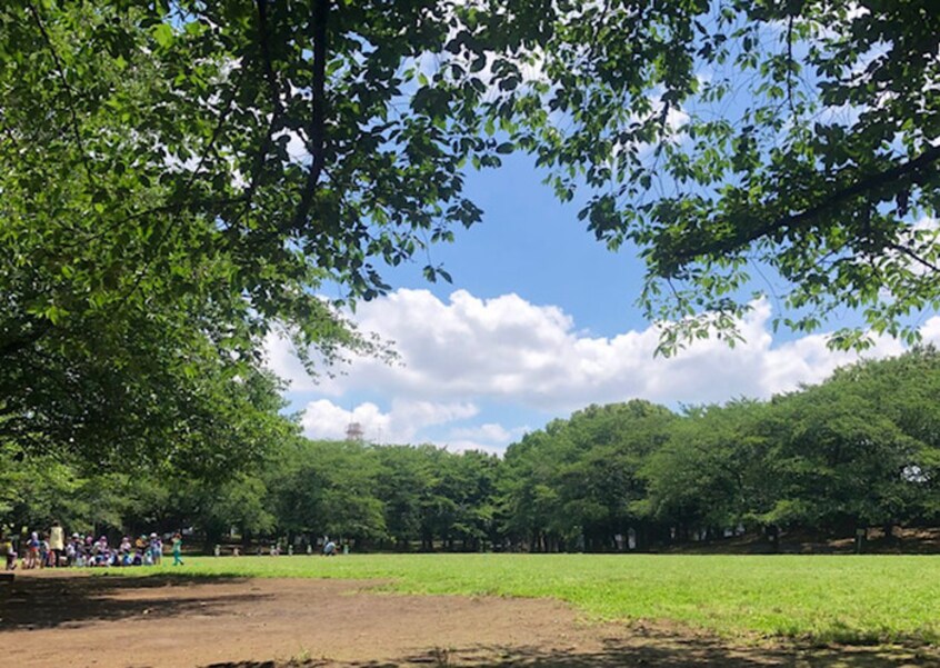 蕨市民公園(公園)まで220m プランドール田村