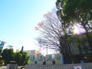 埼玉大学(大学/短大/専門学校)まで1900m カナディアンハイツヤマサキ