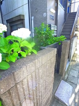 エントランス部分