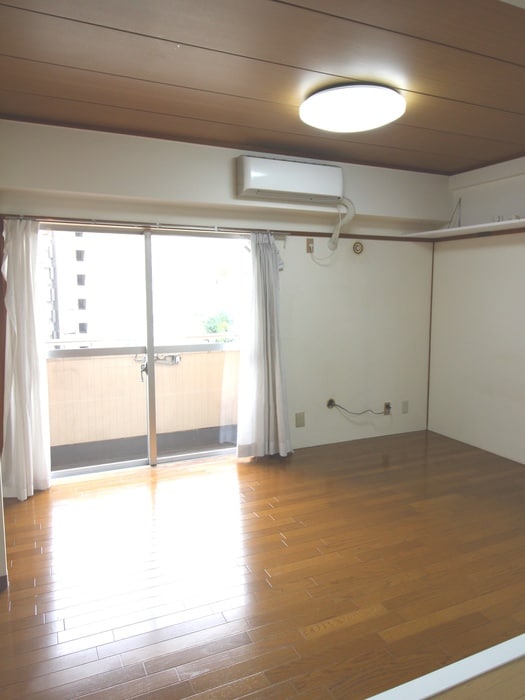 居室 ﾗｲｵﾝｽﾞﾏﾝｼｮﾝ飯田橋(502)