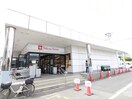 洗足 東急ストア(スーパー)まで319m ティアロレジデンス