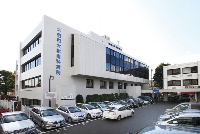 昭和大学洗足キャンパス(病院)まで185m ティアロレジデンス