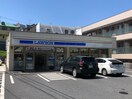 ローソン 横須賀鷹取店(コンビニ)まで317m メゾンアミ