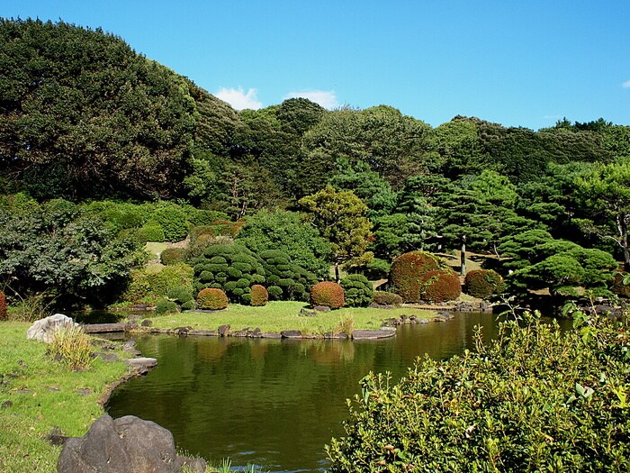 小石川植物園(公園)まで276m エステート白山