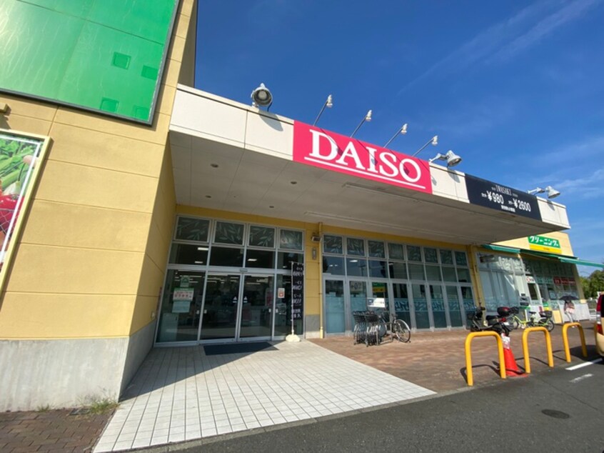 ダイソー堀之内店(100均)まで177m ハイムグリーングラス