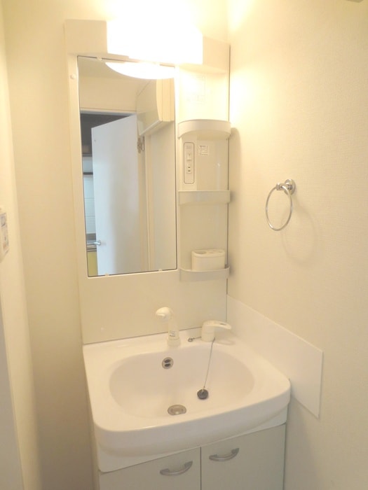 洗面 プルメリア