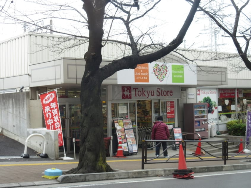 宮崎台 東急ストア(スーパー)まで670m シルク宮崎台(108)