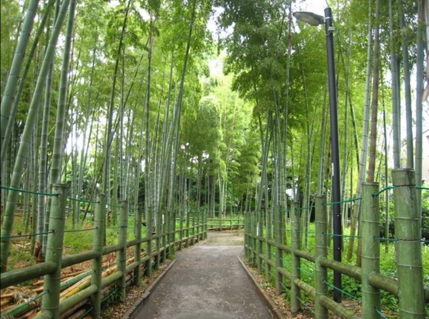 すずめのお宿緑地公園(公園)まで774m ｍｏｍｅｎｔｕｍ