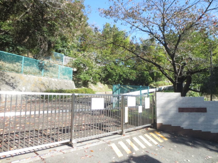横浜市立谷本小学校(小学校)まで405m ヒルサイド・フラッツ
