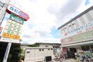 セイムス(ドラッグストア)まで650m 第３加賀ビル